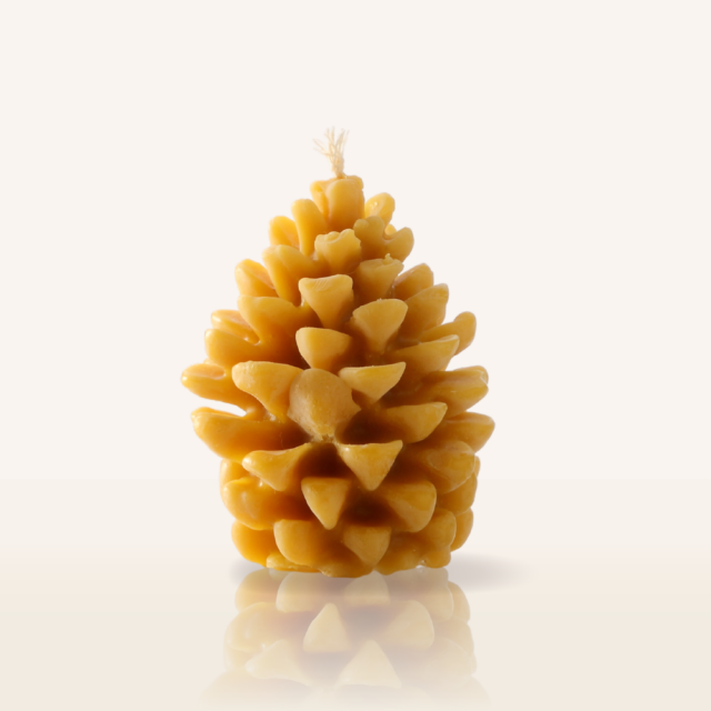 蜜蝋キャンドル マツボックリ